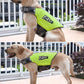 Dog Life Vest for Swimming and Surfing with Rescue Handle - Petpet-Park